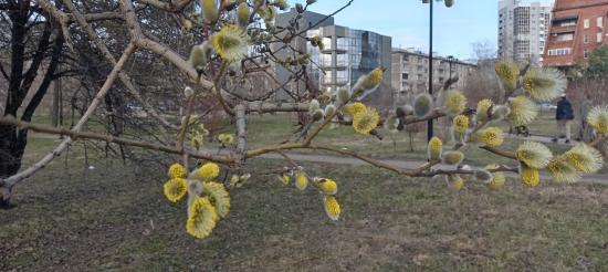 Порывы сильного ветра, дожди и грозы ожидаются в ряде районов Приангарья 13 мая