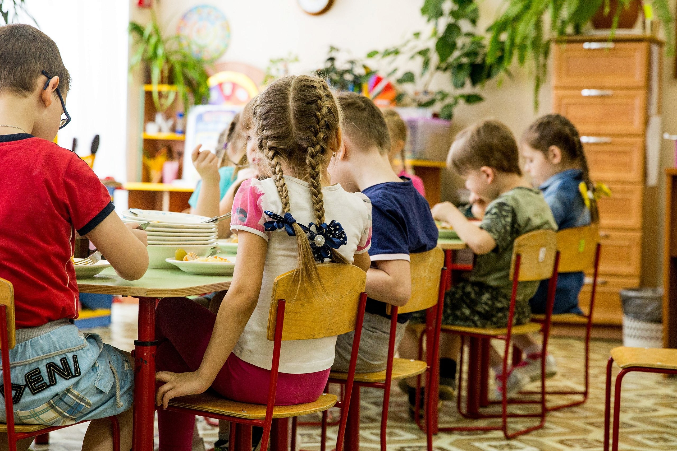 School detsad. Дети в детском саду спиной. Плата за детсад. Плата за детские сады. Дети на спине в садике.