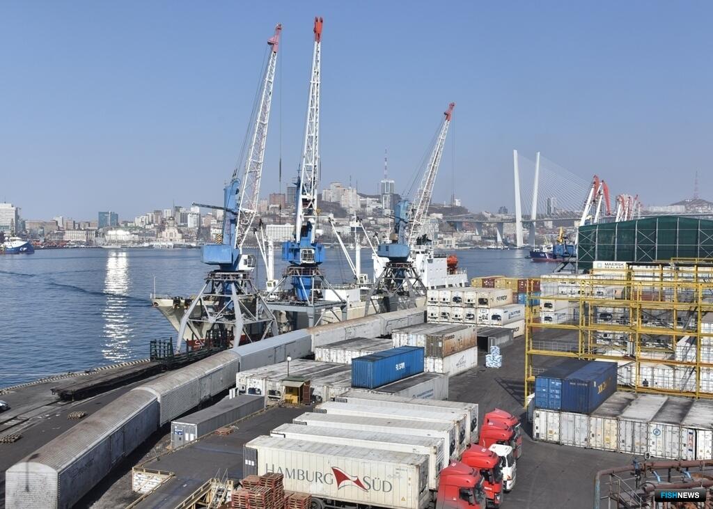 Владивостокский морской рыбный порт. Порт. Плавбаза царь.