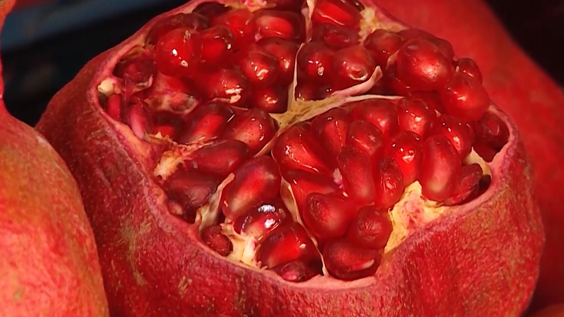 гранат это соплодие. гранатовые корки от. гранат гюлейша. плод у граната гранатина. бескосточковый гранат.