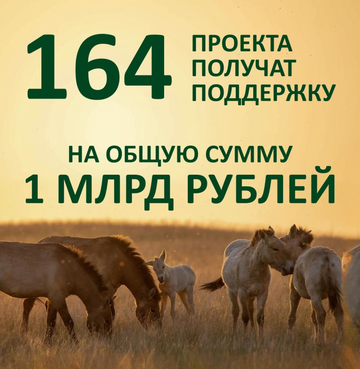 164 проекта победили в грантовом конкурсе 