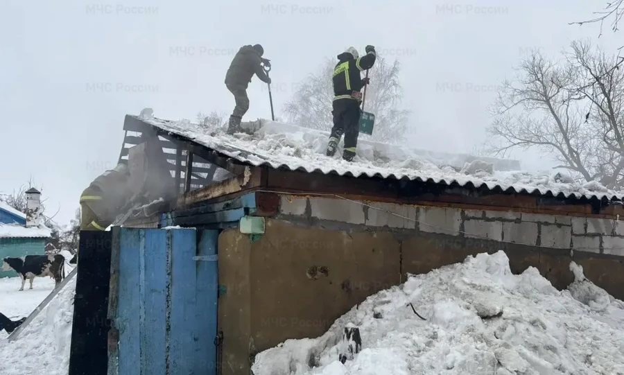 Орловские пожарные спасли 9 поросят и хозпостройки