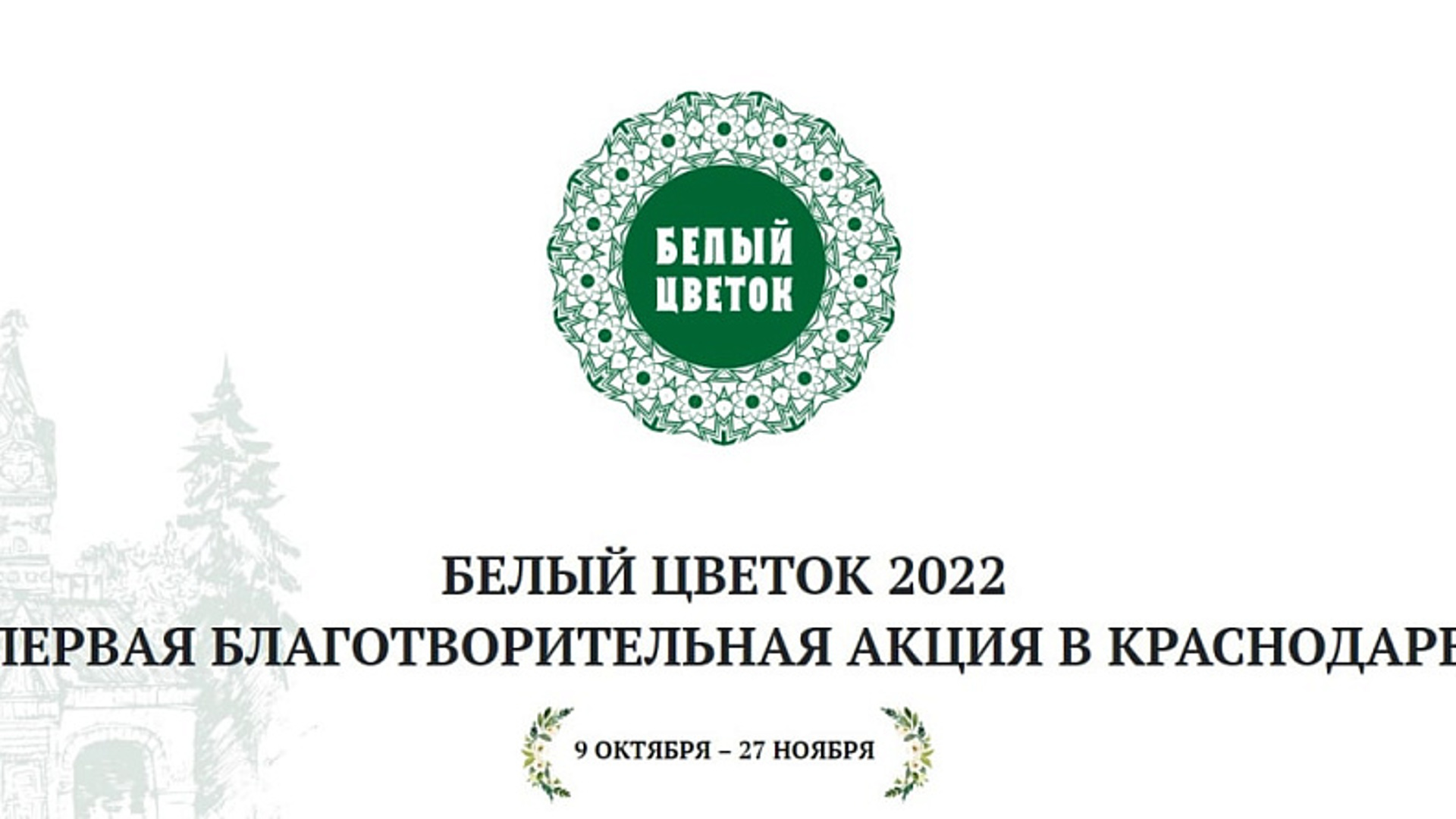 Краснодар белое. Белый цветок благотворительная акция. Акция белый цветок слоган. Акция милосердия белый цветок. Акция белый цветок 2022.