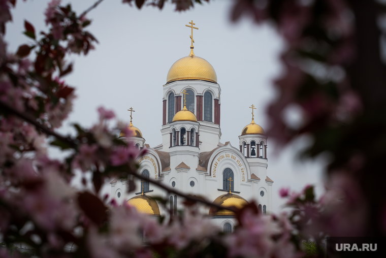 Свердловские зарисовки. Екатеринбург, храм на крови, цветущая яблоня, весна