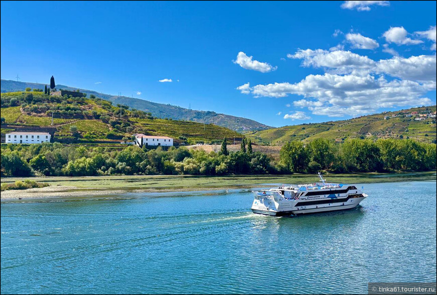 Европейский Девичник. Куда податься из Порту