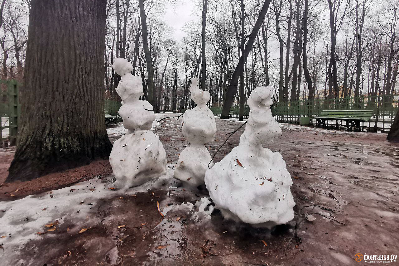 зеленогорск санкт петербург зимой