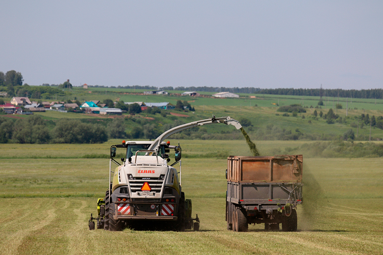 «Облегчение от завершения сельскохозяйственного сезона, скорее всего, долго не продлится. И в ноябре есть вероятность дальнейшего роста цен на топливо»