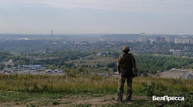 Участники СВО забронировали 300 льготных земельных участков в Белгородской области