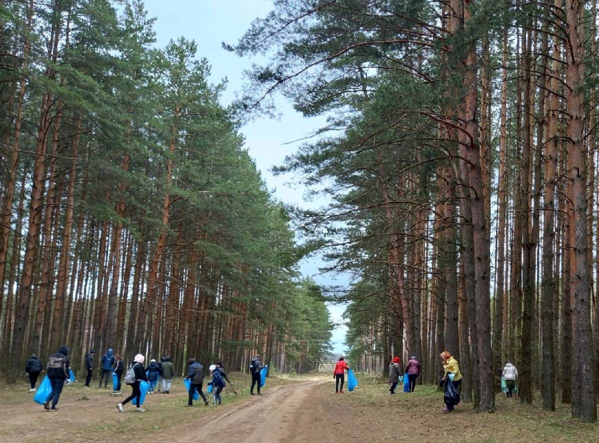 В Смоленске создали городское лесничество 