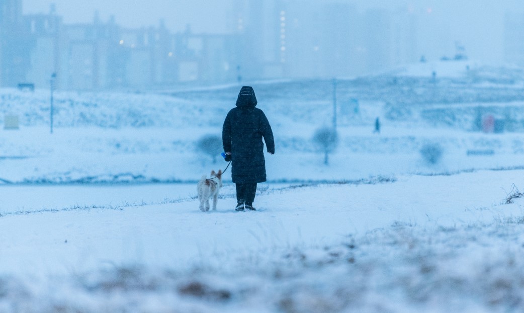 Фото: Илья Московец / РИА URA.RU