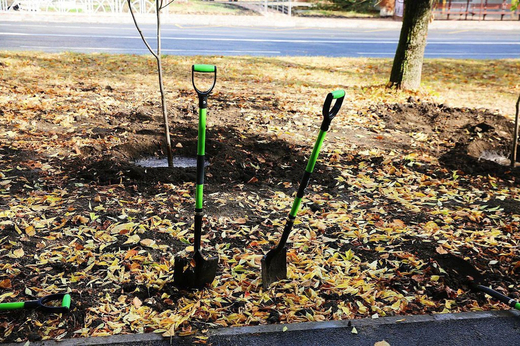 Более 260 деревьев высадили в Ставрополе на выходных