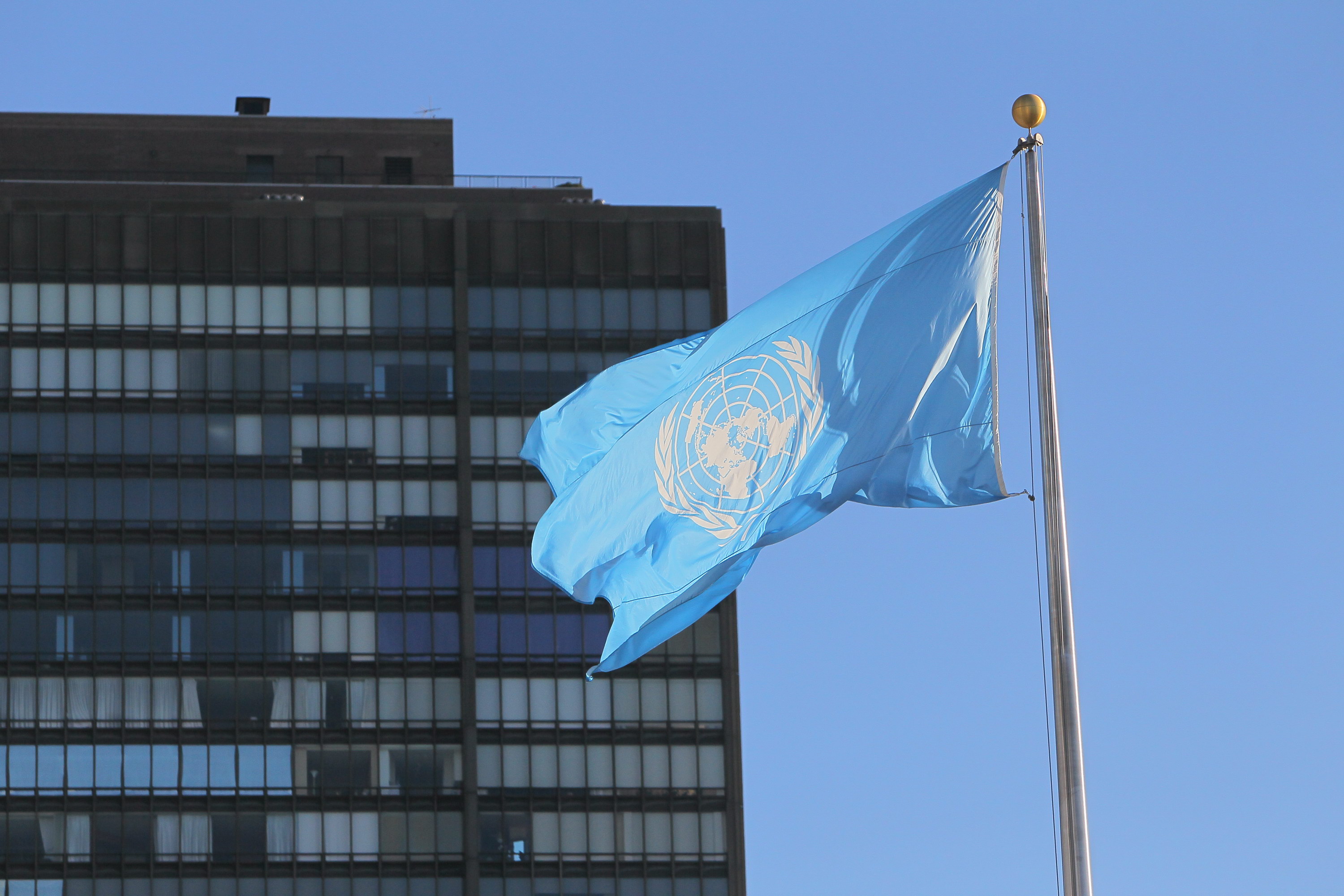 Оон беларусь. ООН И НПО. ООН Украина. Разоружение ООН. ООН В Нью Йорке.