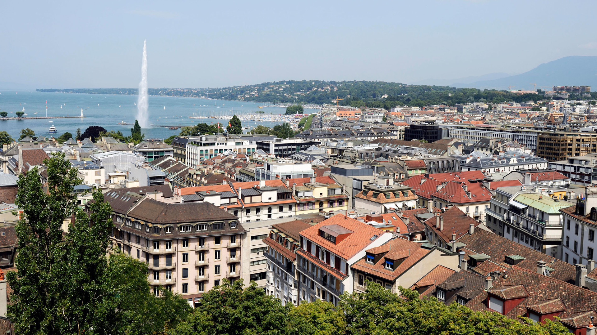 Княжество монако. Как называют жителей женевы монако. Женева швейцария старый город. Княжество монако люди. Жители монако.