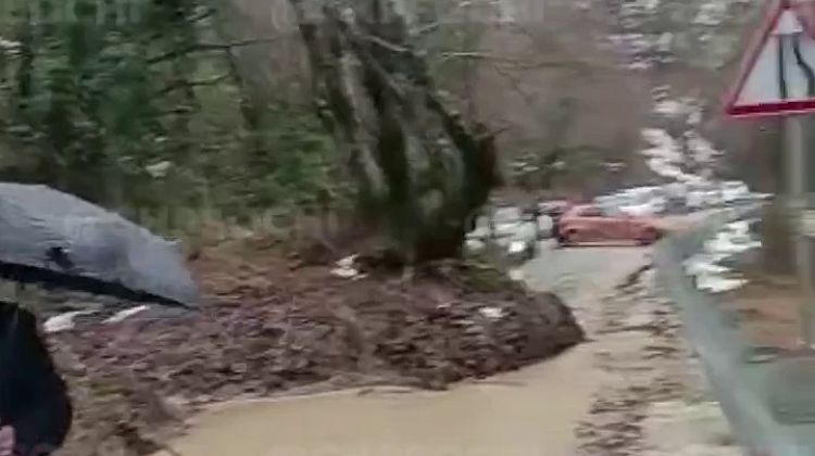 сочи мамайка оползень. сочи оползень пластунская 194. селевой поток в краснодарском крае 2021. сход селя в сочи. сель сошел в сочи сегодня.
