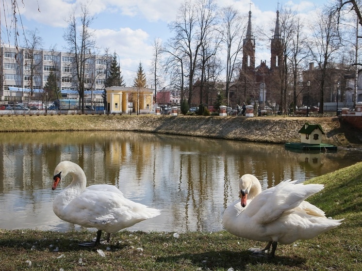 В Рыбинске на «весеннюю просушку» закрыли Карякинский сад