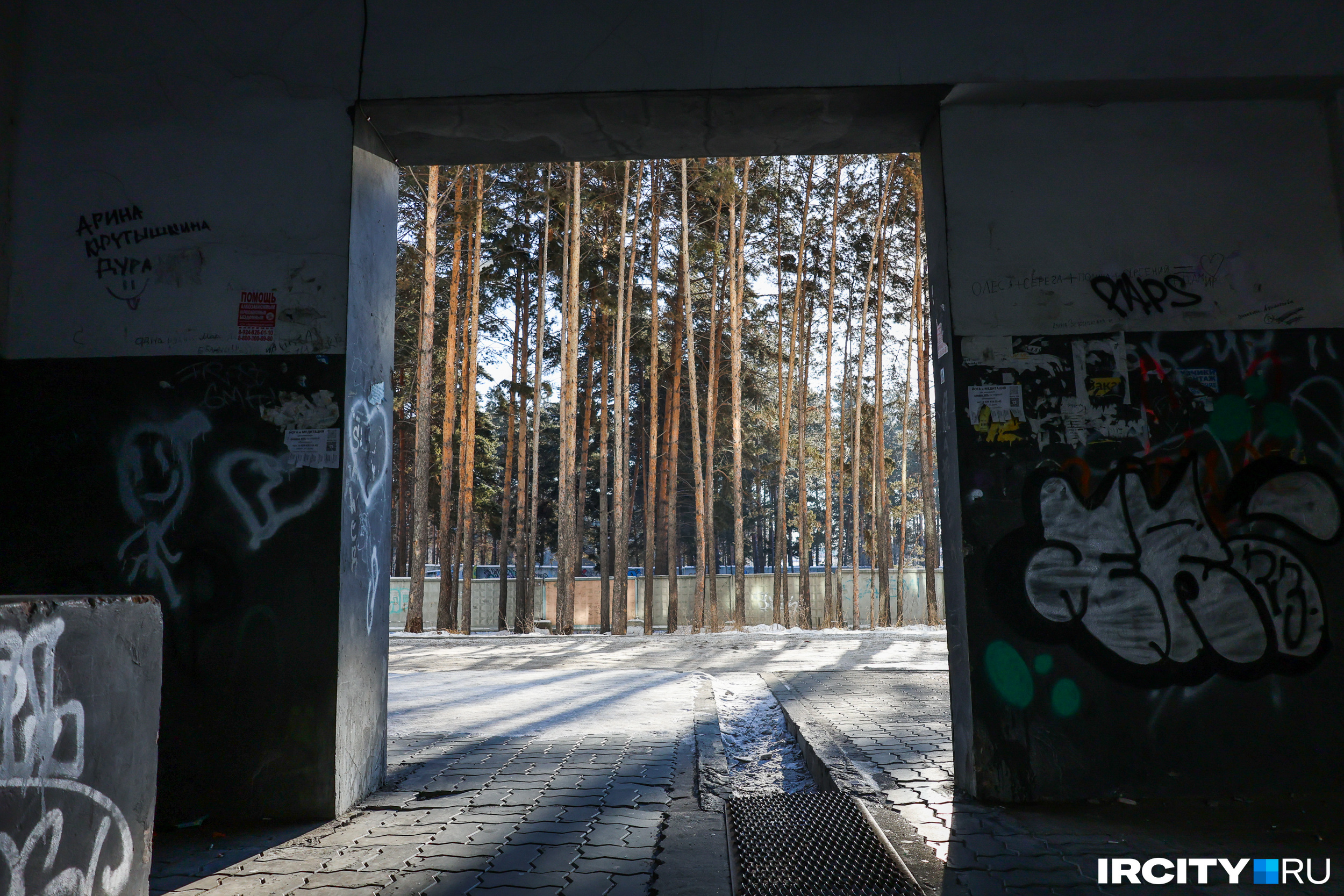 У этой истории хорошего конца, к сожалению, не будет