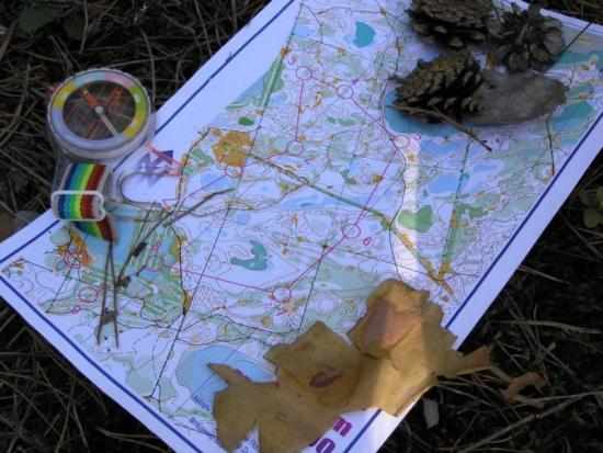 Спортсмены Прибайкалья завоевали 21 медаль на всероссийских соревнованиях по спортивному ориентированию «Ангара»