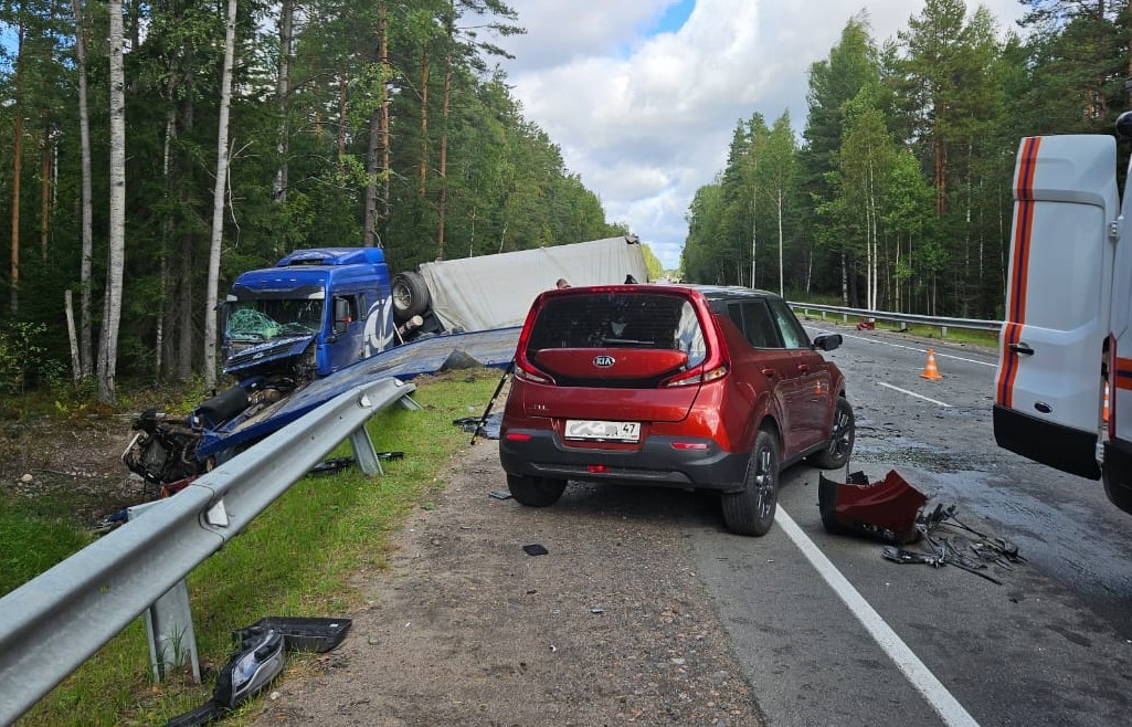 Ленобласть новости дтп