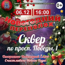 Актуализирован график открытия ёлок в Петропавловске-Камчатском 2