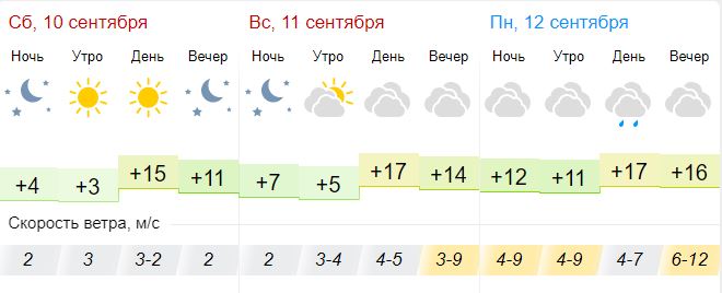 Погода тамбове самый точный на 14 дней. Погода в Тамбове.
