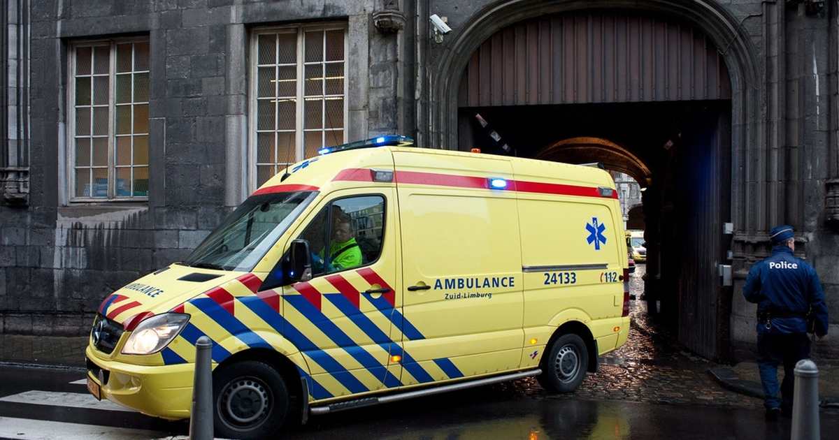 Ветпаспорт французского бульдога. Помощь французским. Семейная политика франции. Финансовая помощь. Французский бульдог фото.