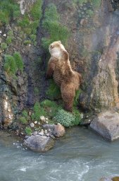 Сегодня отмечается Международный день гор, что особо значимо для Камчатки 2