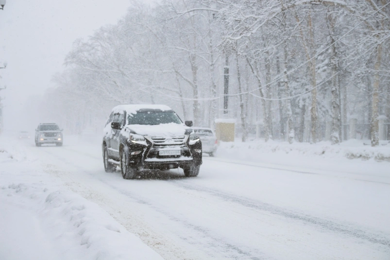 Тематическое фото Владислав Беляцкий, ИА SakhalinMedia