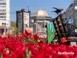 Как Белгород готовится отметить День Победы (фоторепортаж)