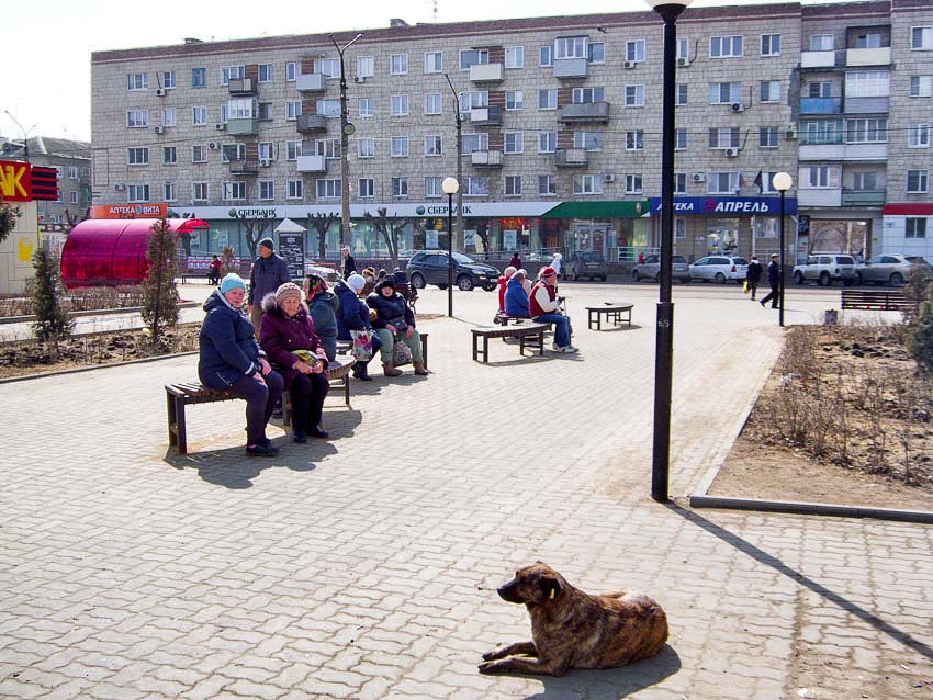 Вывод денег под прикрытием Госуслуг угрожает жителям Волгоградской области из-за массовой рассылки «мутных писем