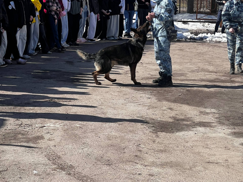 JPEG Файл