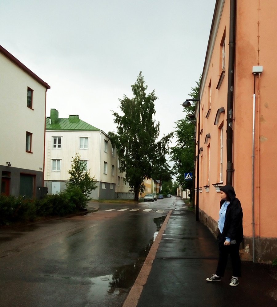 В Финляндии не произошло ожидаемой активизации по продажам коттеджей