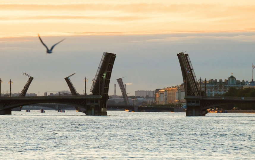 Погода в питере сегодня фото новости