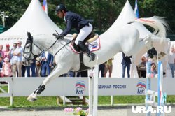 Кубок Губернатора получит спортсмен, прыгнувший через препятствие 135 сантиметров 