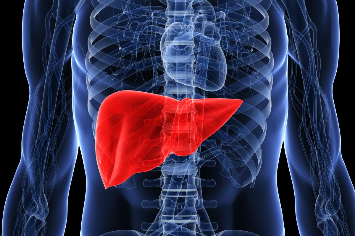 Берегите свое здоровье. Внимательными к своему здоровью. Внимательными к своему здоровью. Здоровый образ жизни доклад. Здоровый образ жизни.