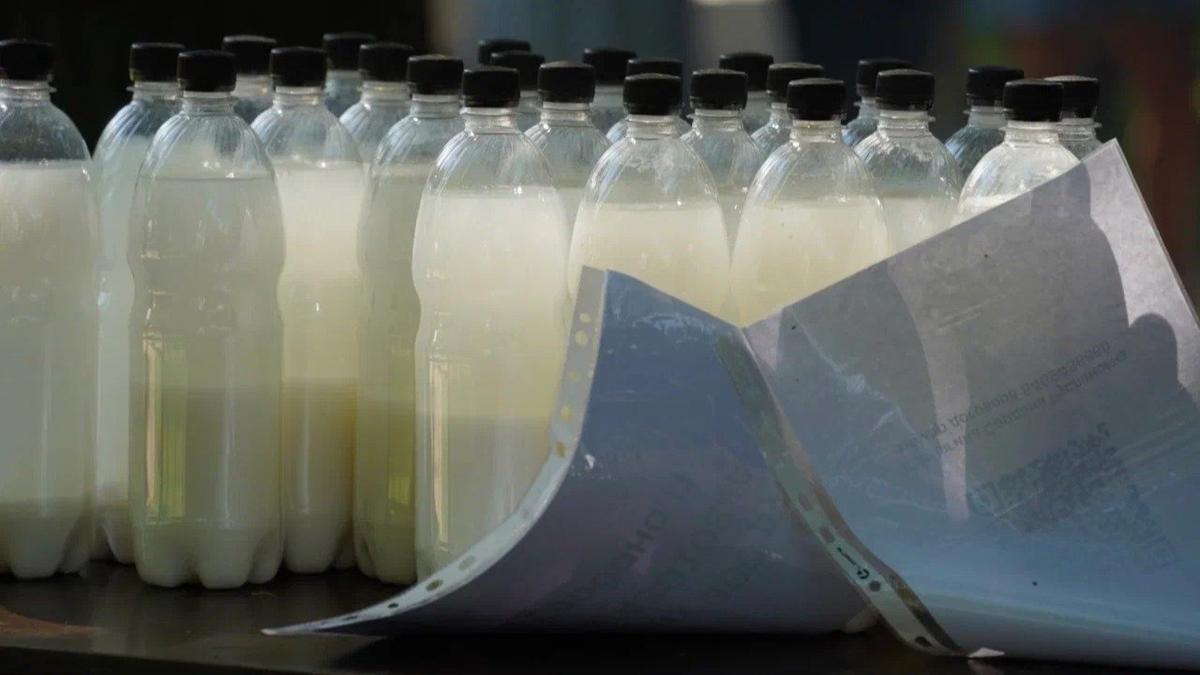 Фото: Павел Борисенко / MR7