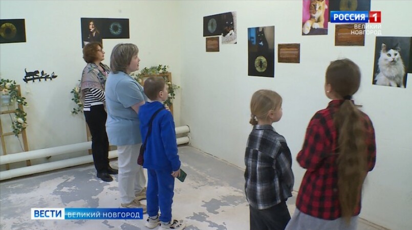 В Великом Новгороде в арт-пространстве «Винтажные коты»  открылась фотовыставка «Мир глазами тех, кто спасает и спасается»