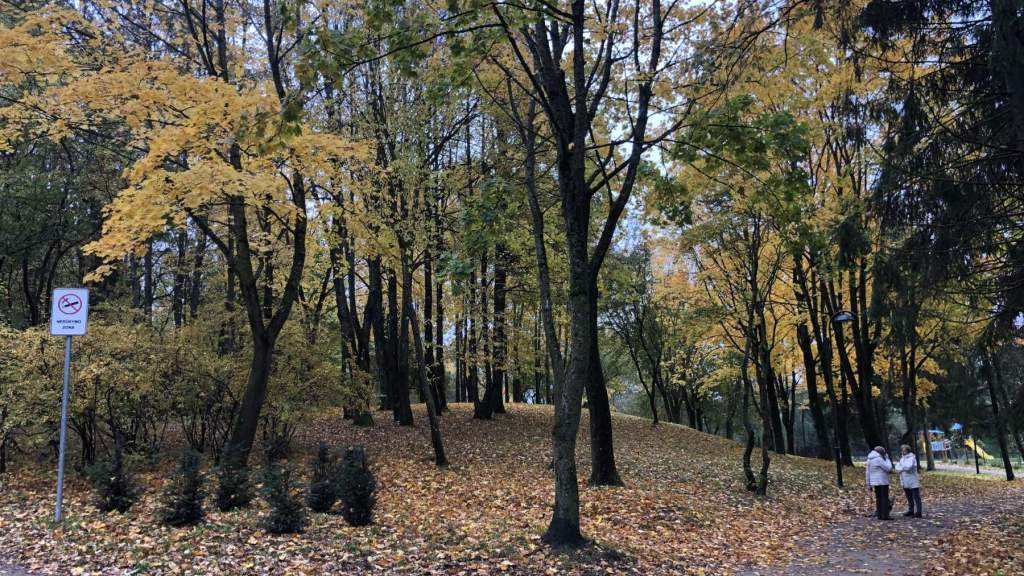 УХОДЯЩАЯ ОСЕНЬ В ПАРКЕ КРЕТИНГИ