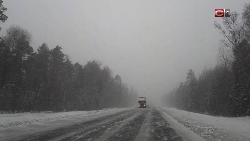 На нескольких трассах вокруг Сургута ввели временные ограничения скорости