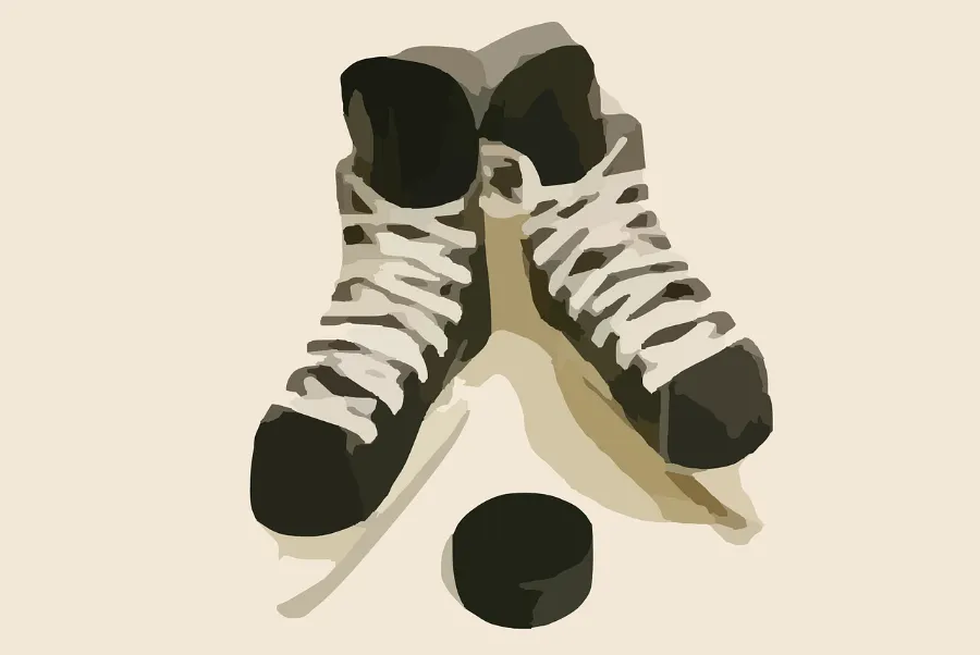 В Женской хоккейной лиге стартовал финал | ФОТО Pixabay 