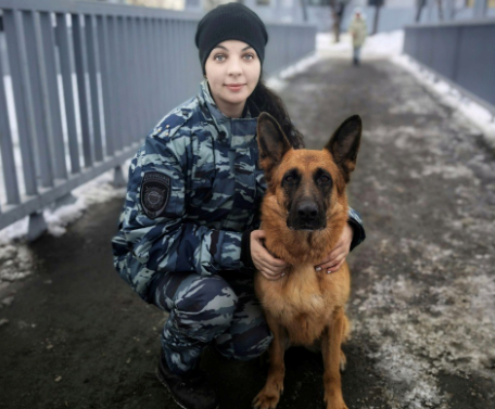 Полицейская овчарка Ларса на Камчатке раскрыла кражу по горячим следам. Фото: УМВД России по Камчатскому краю