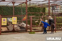 «Сосновый Бор» привлекает туристов не только термами, но и зоопарком