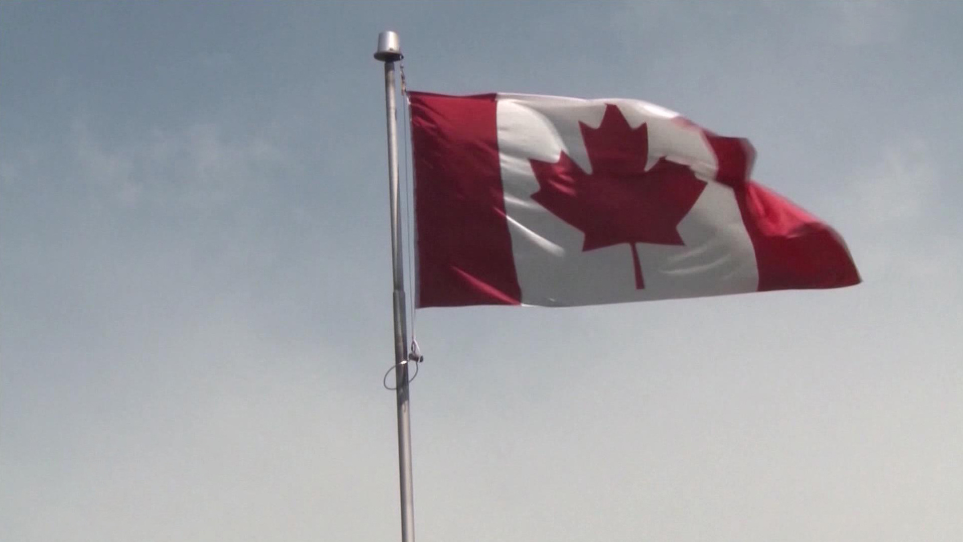 Глава партии 