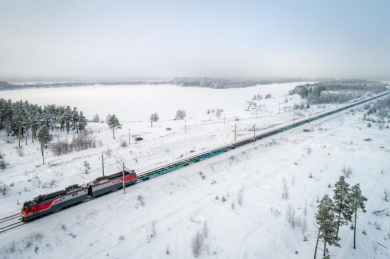 Контейнерный рынок: за год ставки на фитинговые платформы подорожали на 30%