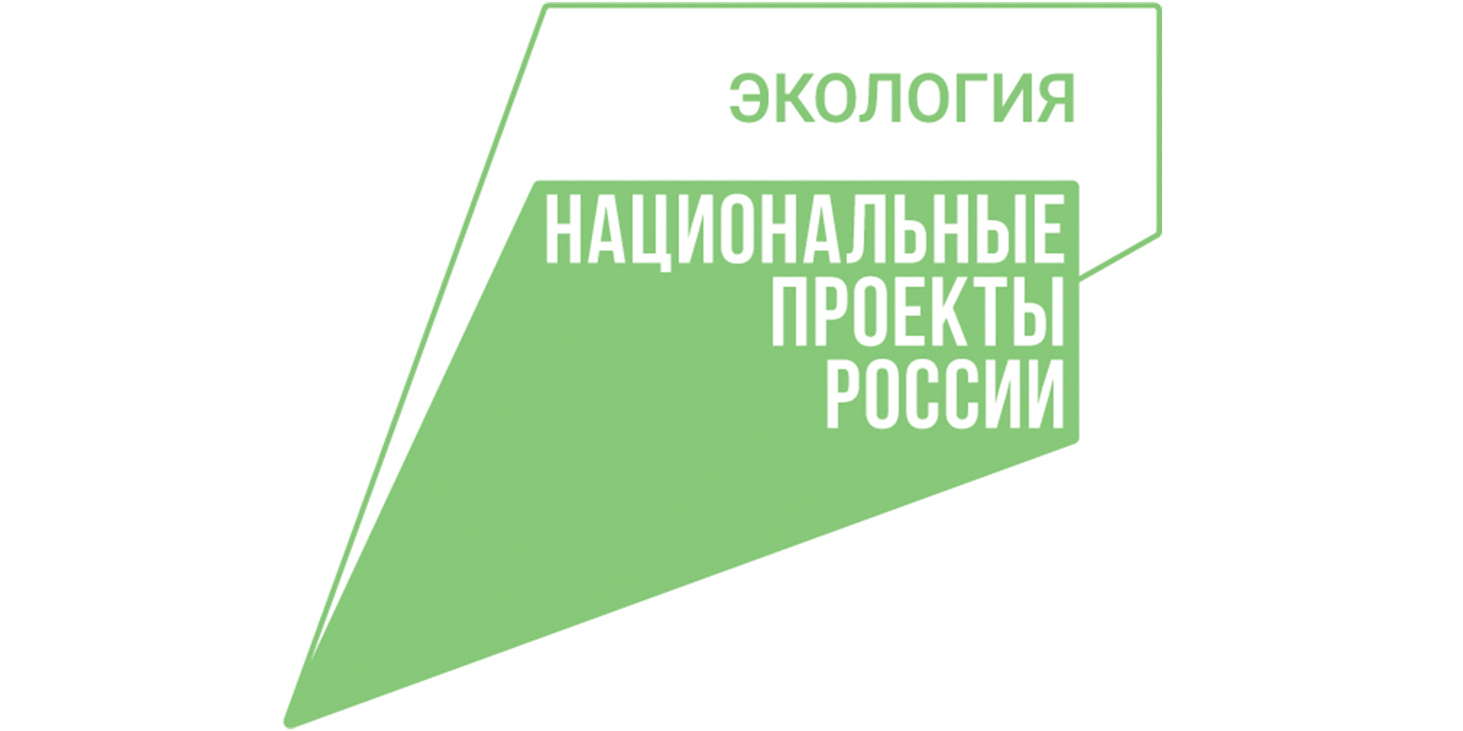 Работы по ликвидации свалки в Наволоках завершат в 2024 году