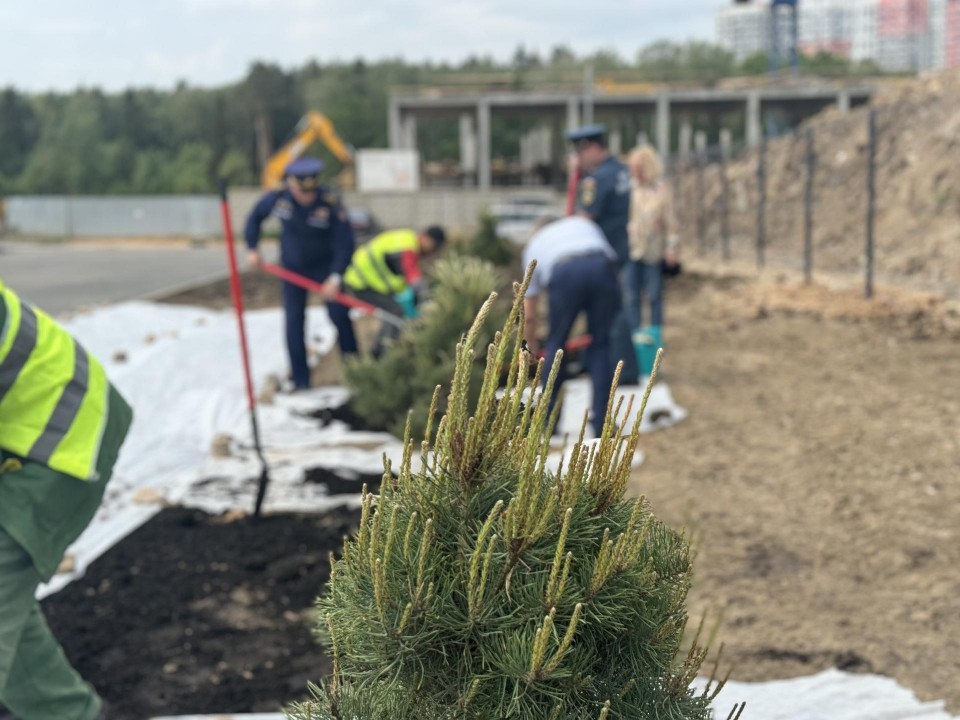 Возле нового пожарного депо в Дрожжине посадили молодые деревья