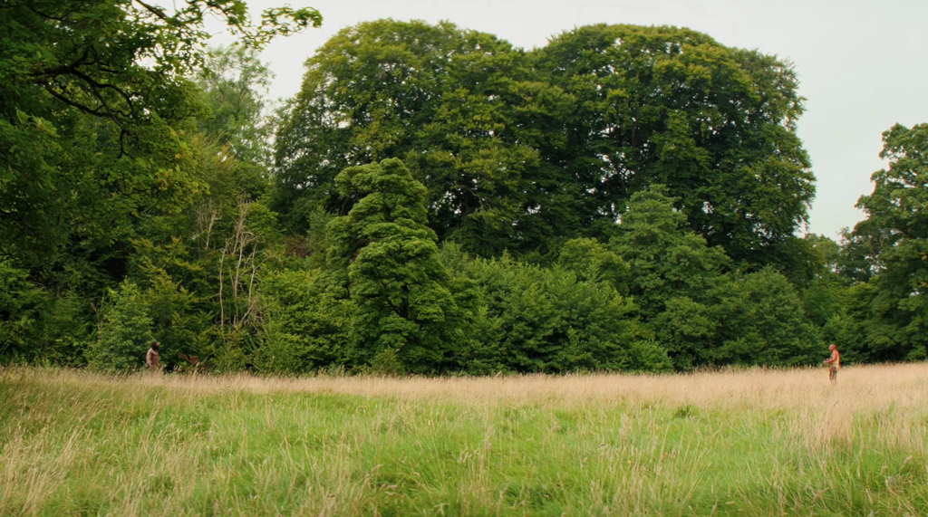 Снимок экрана 2026-01-26 124027.png