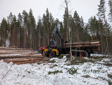 Сегежский ЦБК и КАМАЗ проводят испытания лесозаготовительной техники