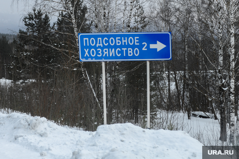 Выездное заседание экспертного совета по вопросам деятельности СМИ и двух комитетов Законодательного Собрания в Саткинский муниципальный район. Сатка., знак, подсобное хозяйство