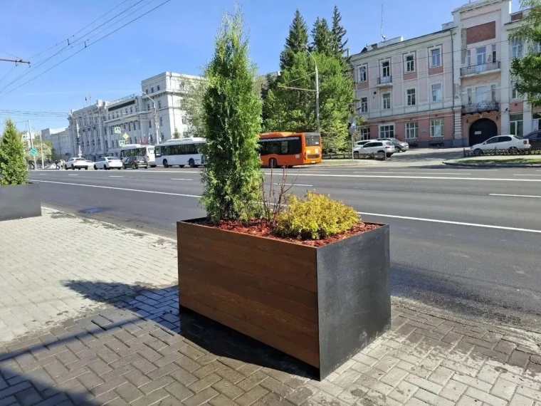 Сергей Шелест анонсировал масштабное озеленение улицы Гагарина в Омске