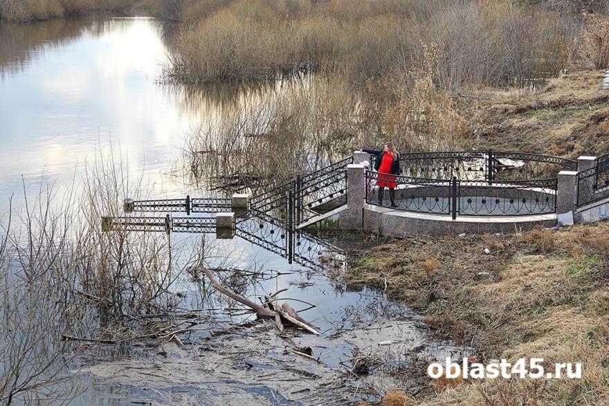 «Удивительное смешение слабоумия и отваги»: губернатор недоволен властями Шадринска